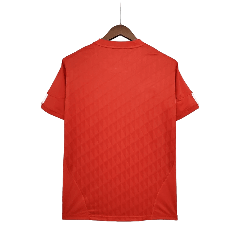 Liverpool 2010/11 Home