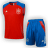 Spain 2024/25 Training Vest