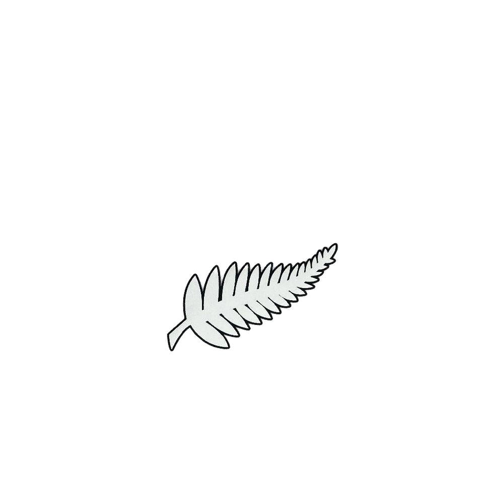 2025/2026 New Zealand Home Jersey