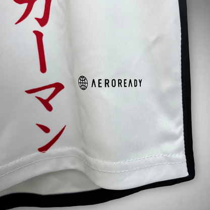 Japan "Levi Ackerman" Premium Kit - FutKulture