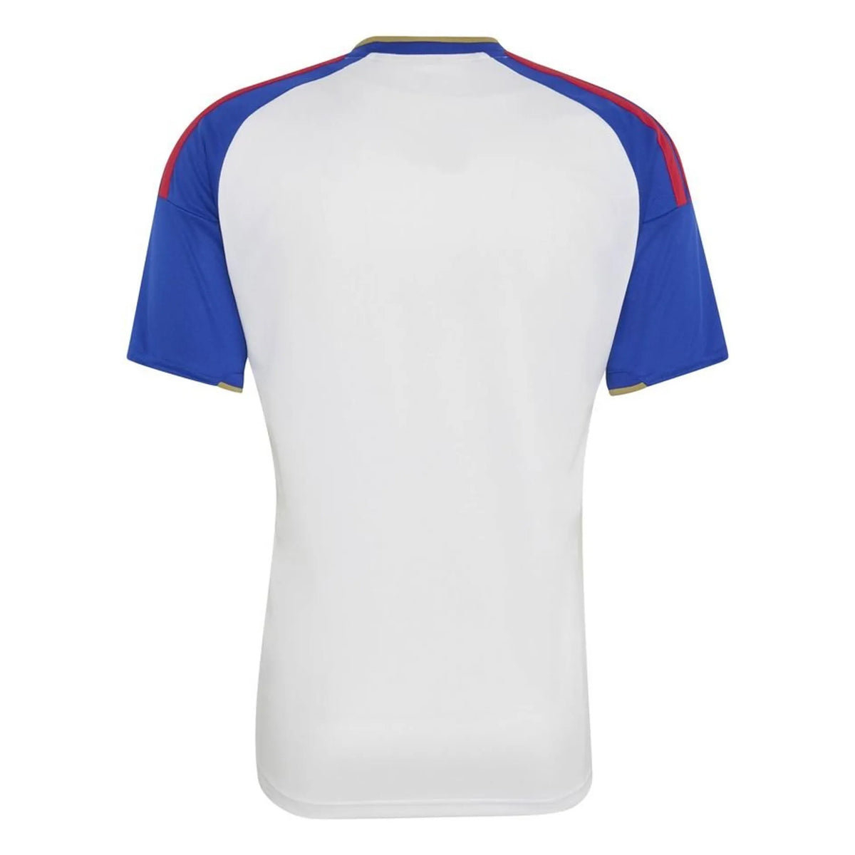 2026/2027 Lyon Home Kit