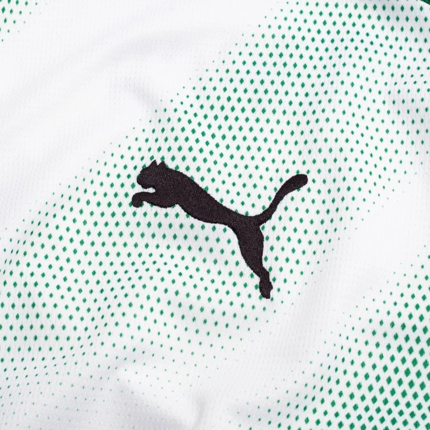 2026/2027 Borussia Mönchengladbach Home Kit